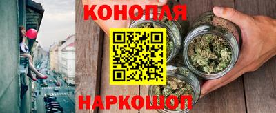 молекула духа Будённовск