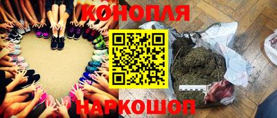 молекула духа Будённовск