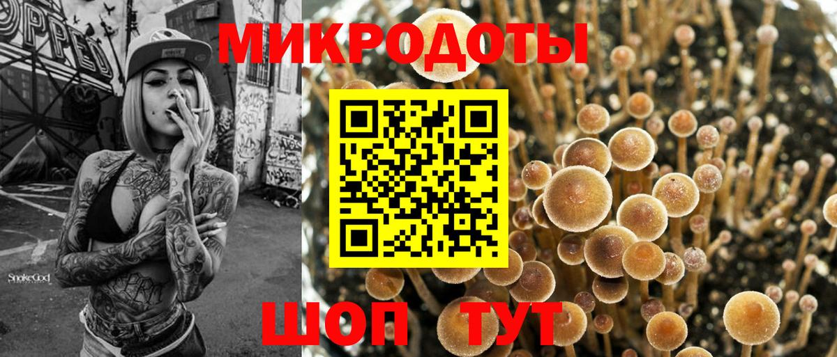 Галлюциногенные грибы Psilocybine cubensis Морозовск