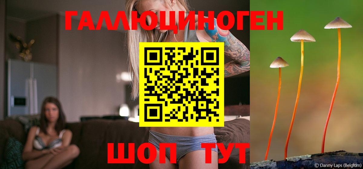 Морозовск  Галлюциногенные грибы прущие грибы  Вход с VPN 