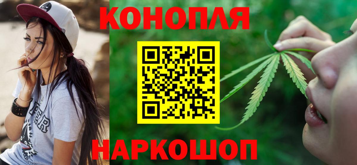 Каннабис планчик Морозовск